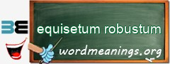 WordMeaning blackboard for equisetum robustum